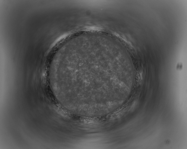 X0000101221254200807251103