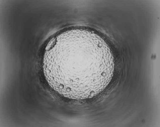 X0000101221255200807251103