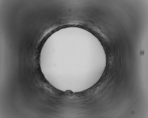 X0000101221256200807251103