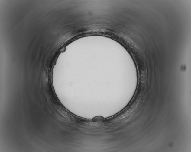 X0000101221257200807251103