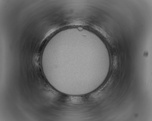 X0000101221258200807251103
