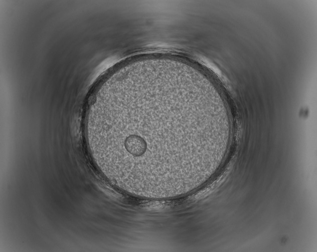 X0000101221259200807251103