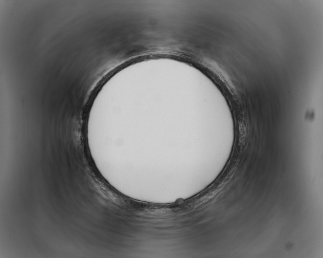X0000101221260200807251103