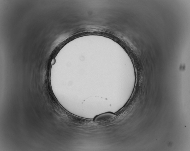 X0000101221261200807251103