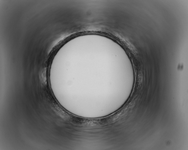 X0000101221262200807251103