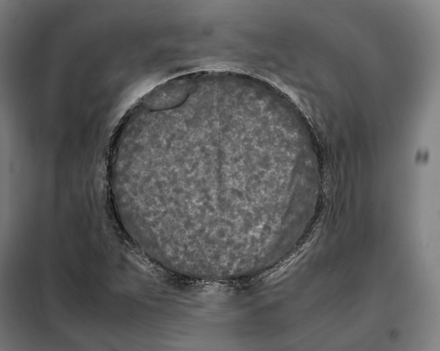 X0000101221263200807251103