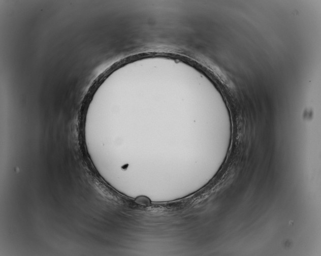 X0000101221264200807251103