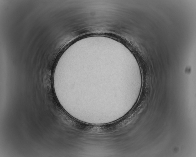 X0000101221265200807251103