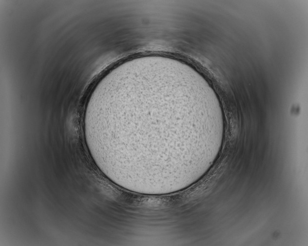 X0000101221266200807251103