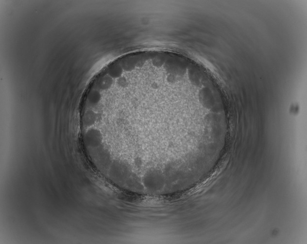 X0000101221267200807251103