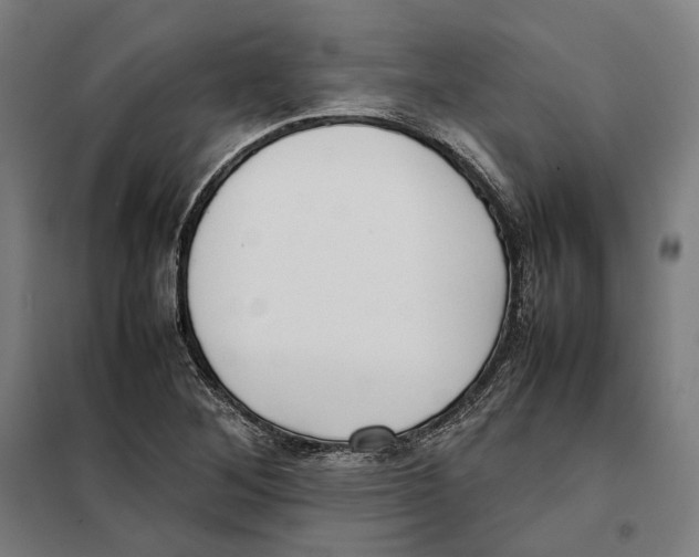 X0000101221268200807251103