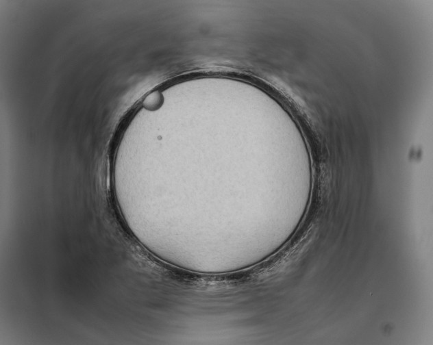 X0000101221269200807251103
