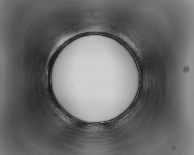 X0000101221270200807251103