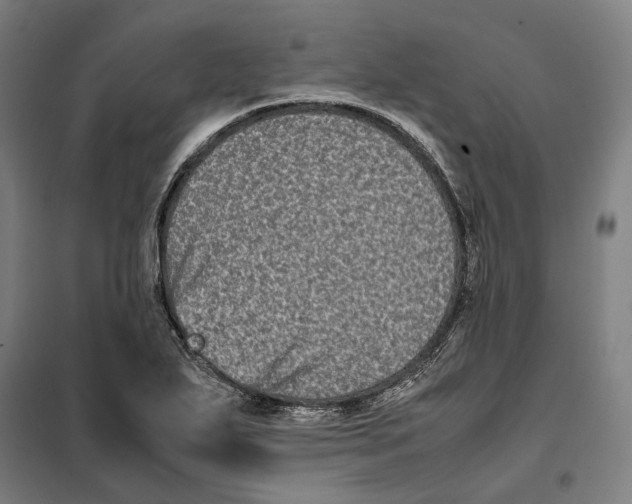 X0000101221271200807251103