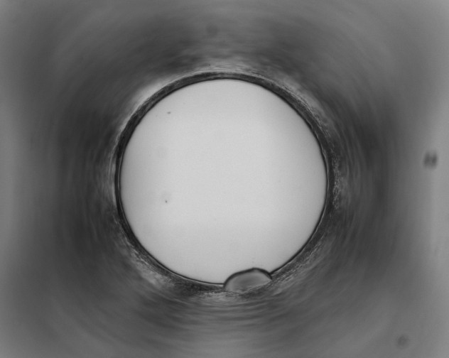 X0000101221272200807251103