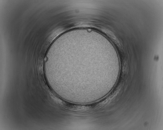 X0000101221273200807251103