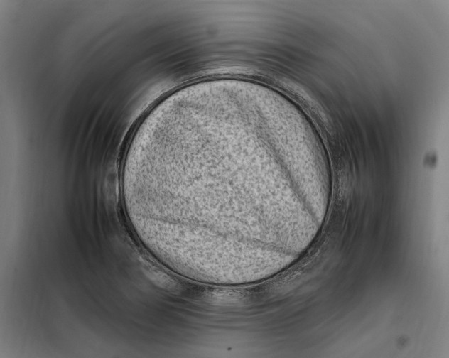 X0000101221274200807251103