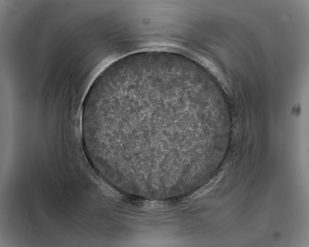 X0000101221275200807251103