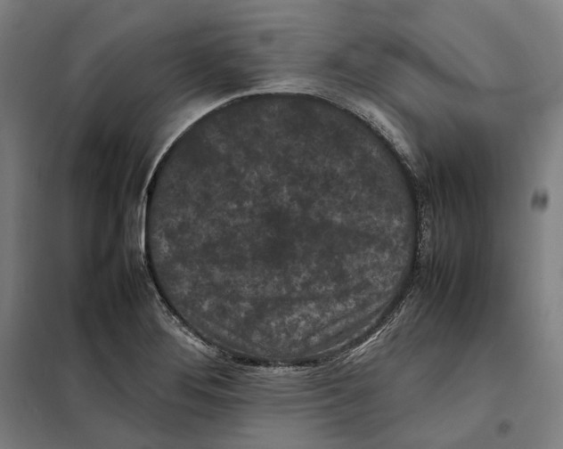 X0000101221276200807251103