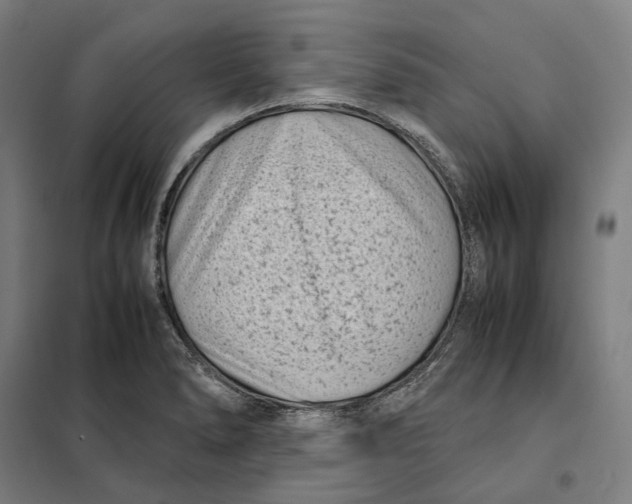 X0000101221278200807251103