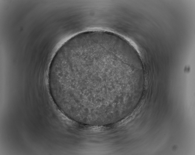 X0000101221279200807251103