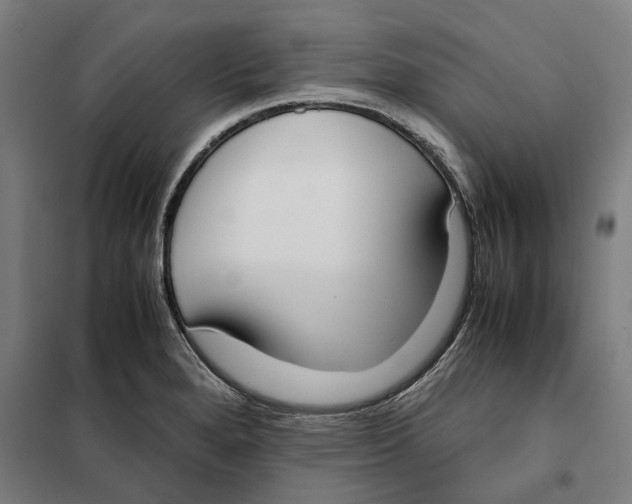 X0000101221280200807251103