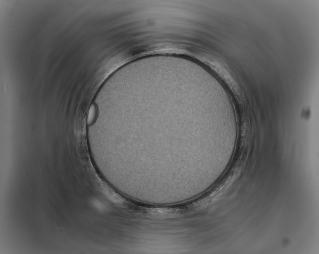X0000101221281200807251103