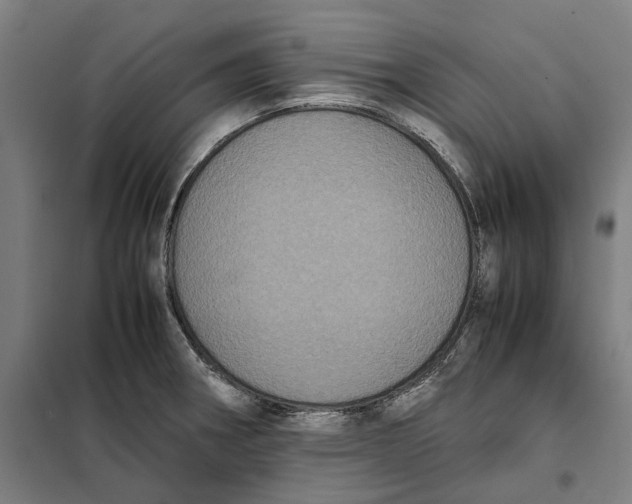 X0000101221282200807251103