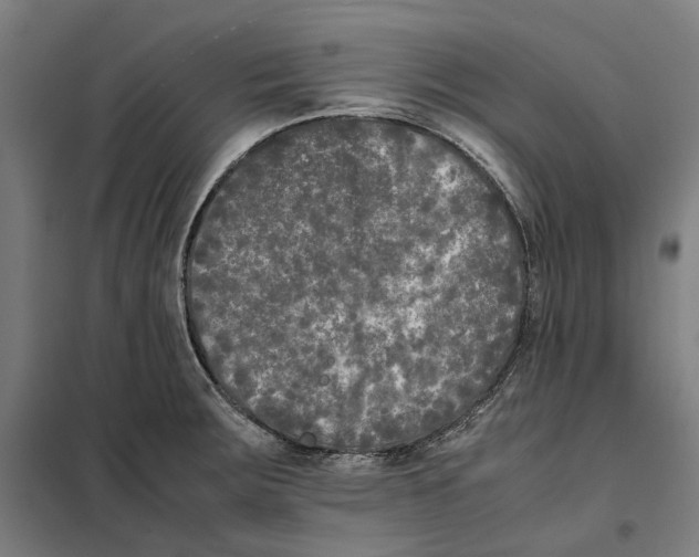 X0000101221283200807251103