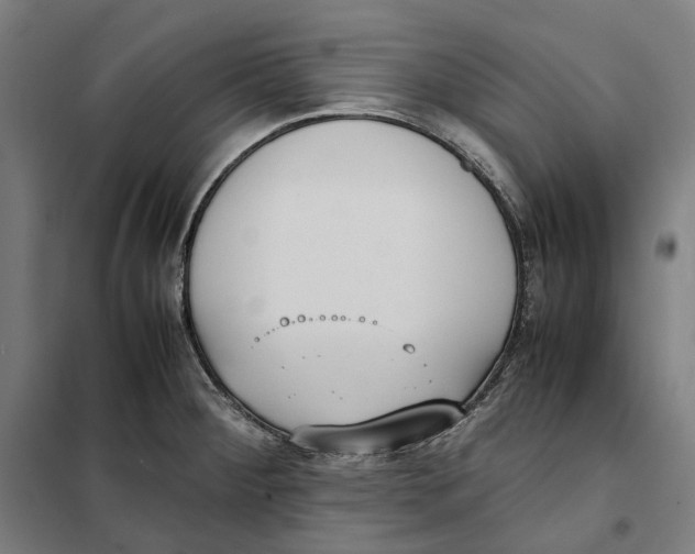 X0000101221284200807251103