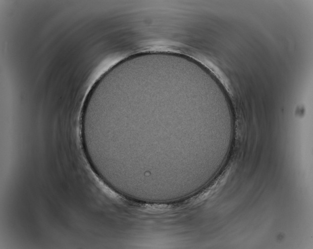 X0000101221285200807251103