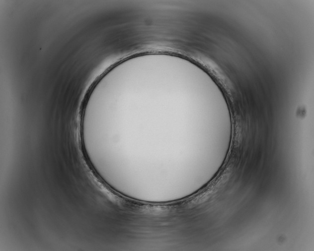 X0000101221286200807251103