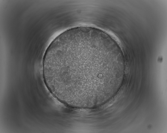 X0000101221287200807251103