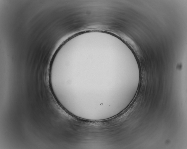X0000101221288200807251103