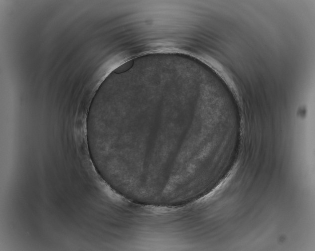 X0000101221289200807251103