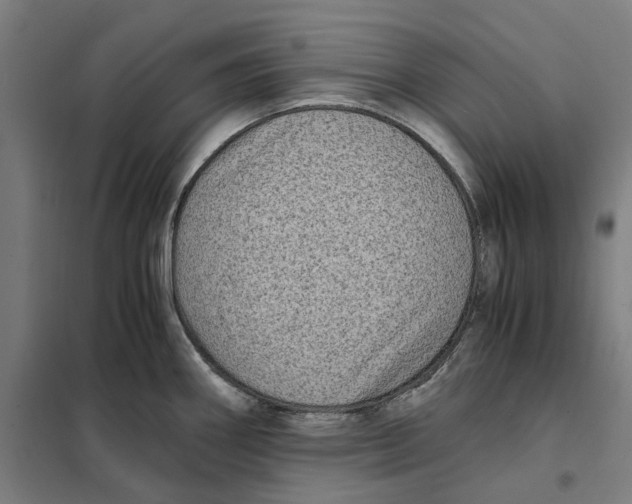 X0000101221290200807251103