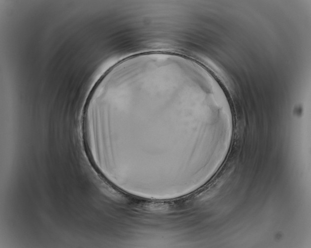 X0000101221291200807251103
