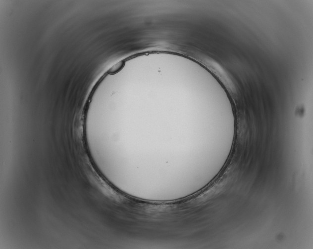 X0000101221292200807251103
