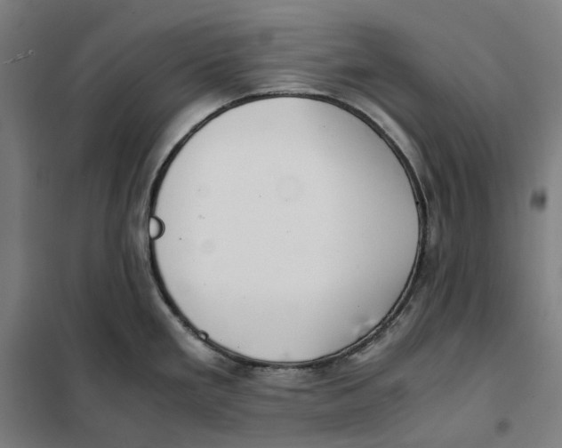 X0000101221293200807251103