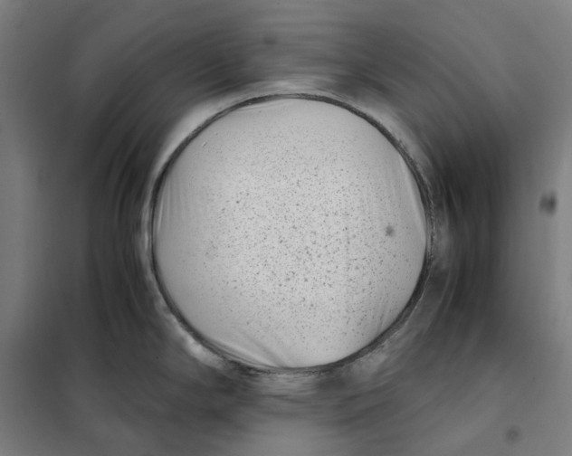 X0000101221294200807251103