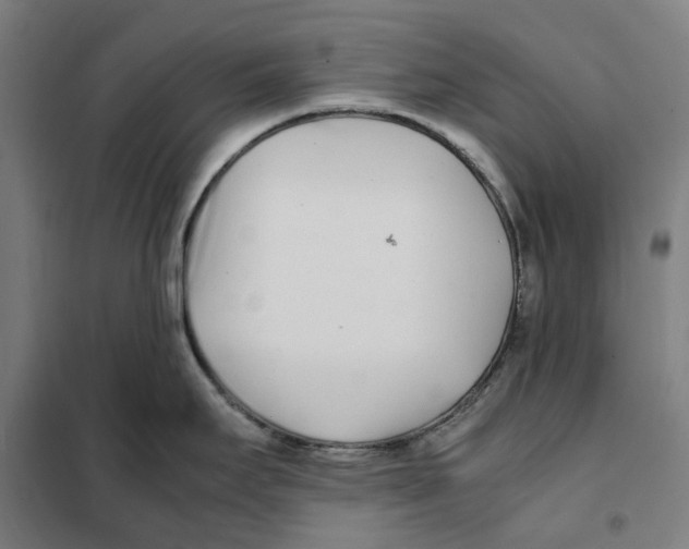 X0000101221295200807251103