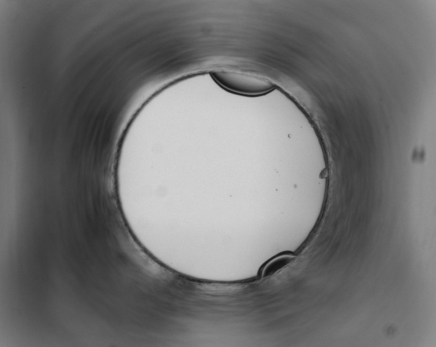 X0000101221296200807251103