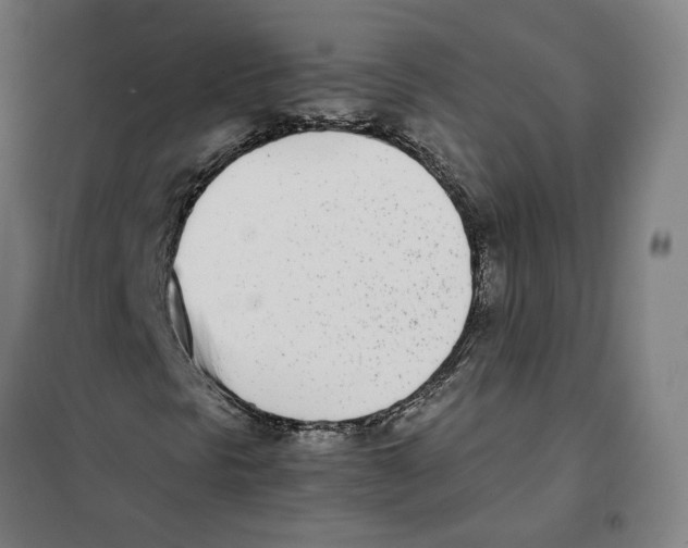 X0000101221297200807251102