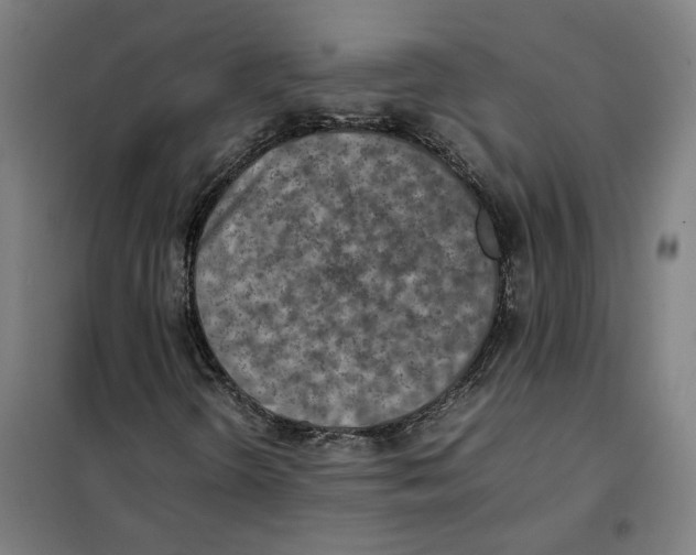 X0000101221298200807251102