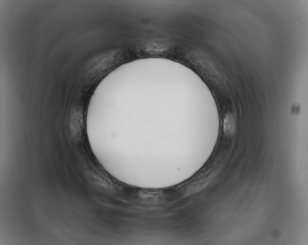X0000101221299200807251102