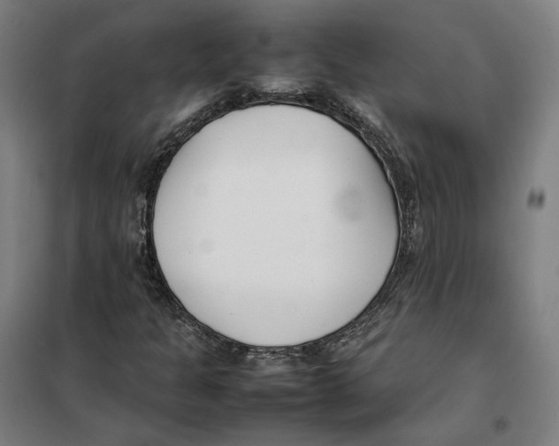 X0000101221301200807251102