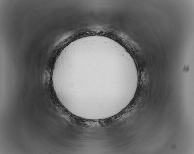 X0000101221302200807251102