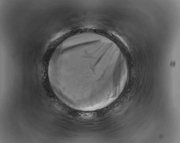 X0000101221303200807251102