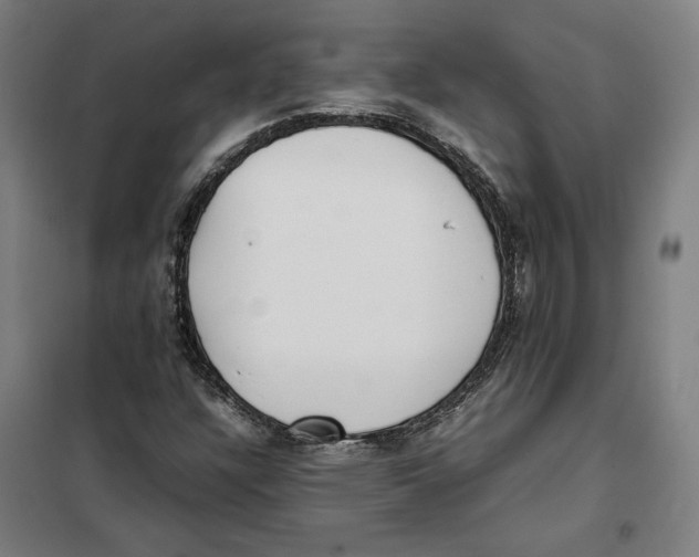 X0000101221304200807251102