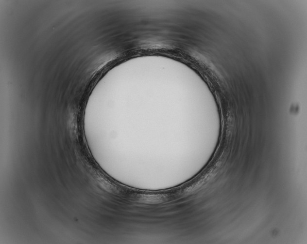 X0000101221305200807251102